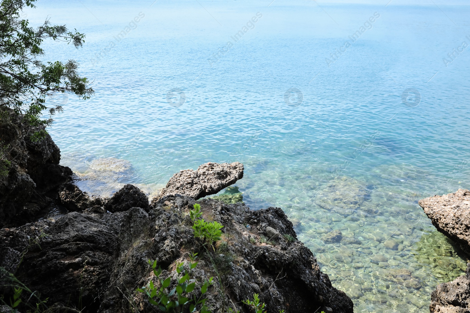 Photo of Beautiful view of rocky sea coast on sunny summer day