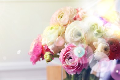 Image of Beautiful ranunculus flowers on light background, closeup