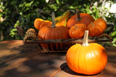 Photo of Many ripe orange pumpkins on wooden table outdoors