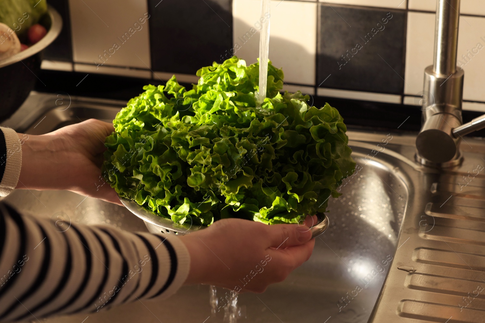 Photo of Woman washing fresh lettuce leaves in metal colander, closeup