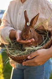 Woman with cute rabbit outdoors on sunny day, closeup