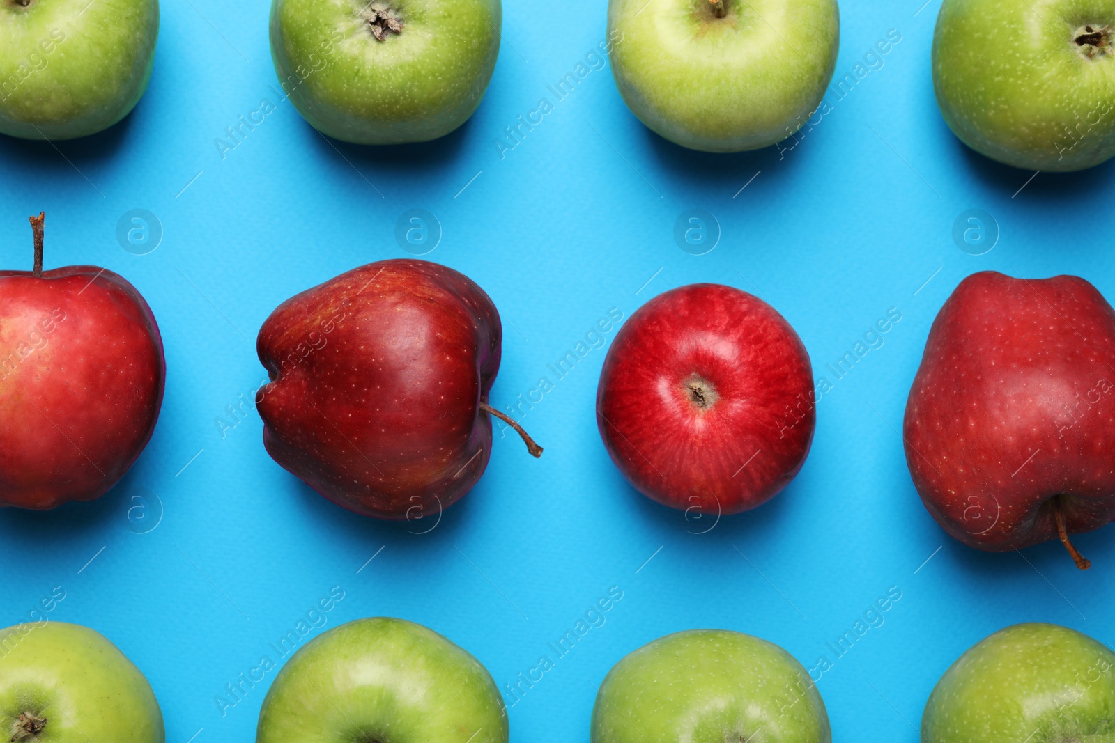 Photo of Ripe red and green apples on light blue background, flat lay