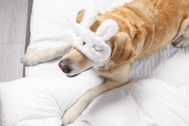 Photo of Cute Labrador Retriever with sleep mask resting on bed indoors