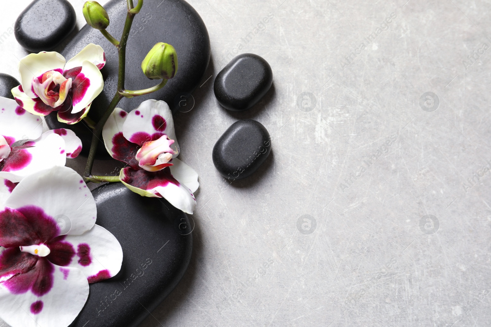 Photo of Flat lay composition with spa stones and orchid flowers on grey background. Space for text