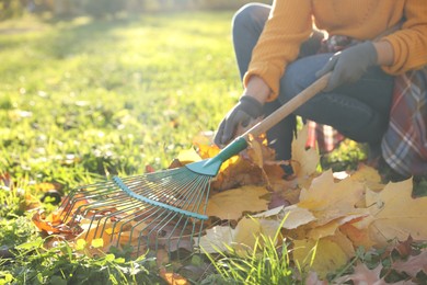 Woman raking fall leaves in park, closeup. Space for text