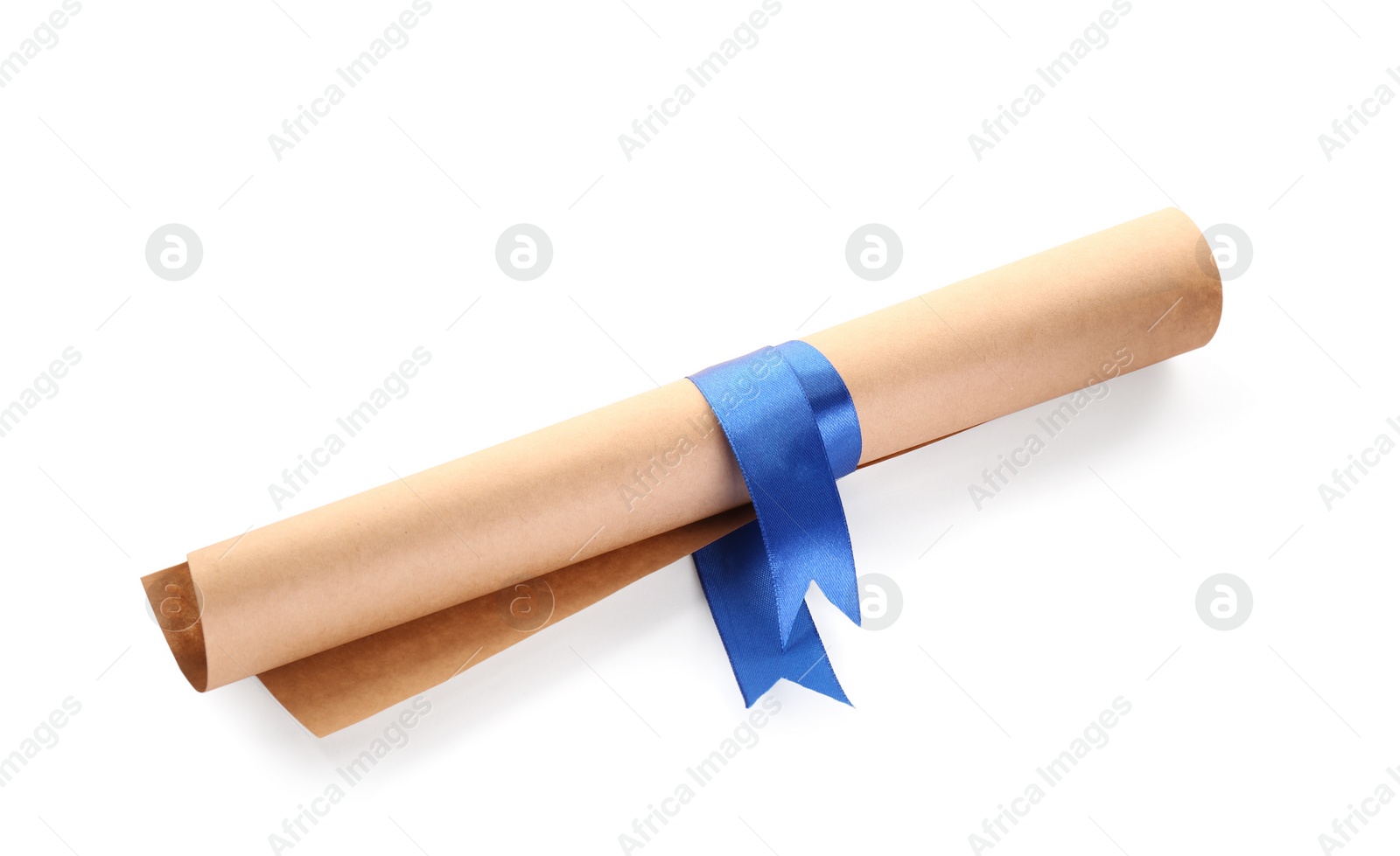 Photo of Rolled student's diploma with blue ribbon on white background