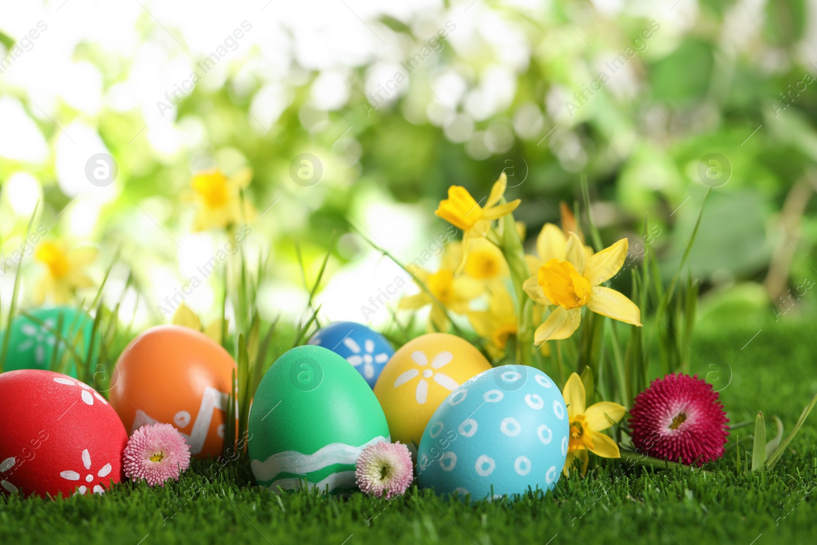 Photo of Colorful Easter eggs and flowers in green grass. Space for text