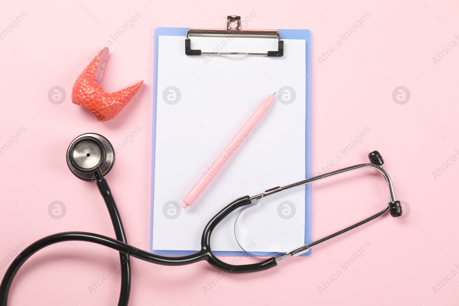 Photo of Endocrinology. Stethoscope, clipboard, model of thyroid gland and pen on pink background, flat lay