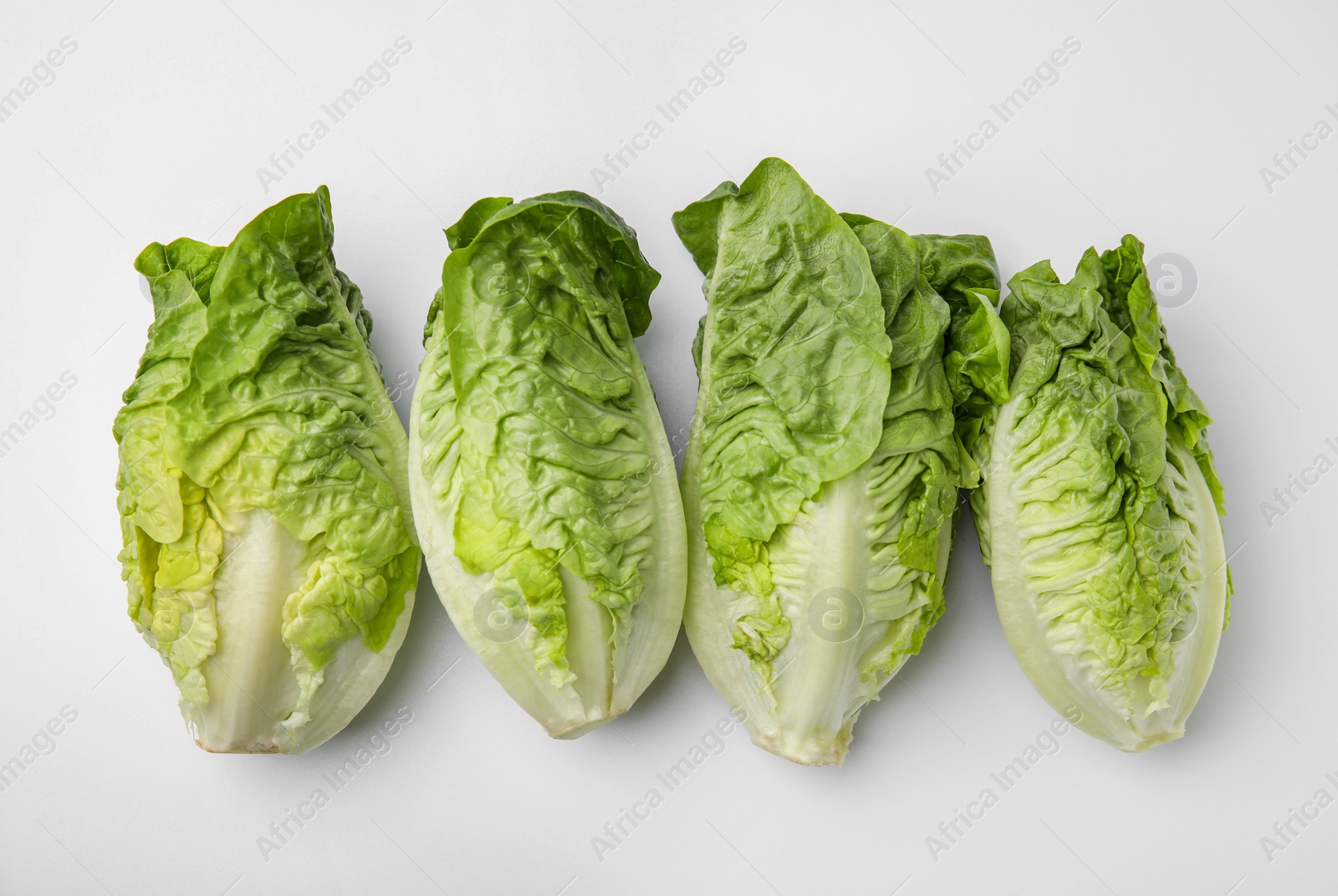 Photo of Fresh green romaine lettuces isolated on white, top view