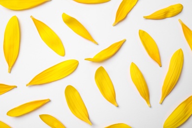 Photo of Fresh yellow sunflower petals isolated on white, top view