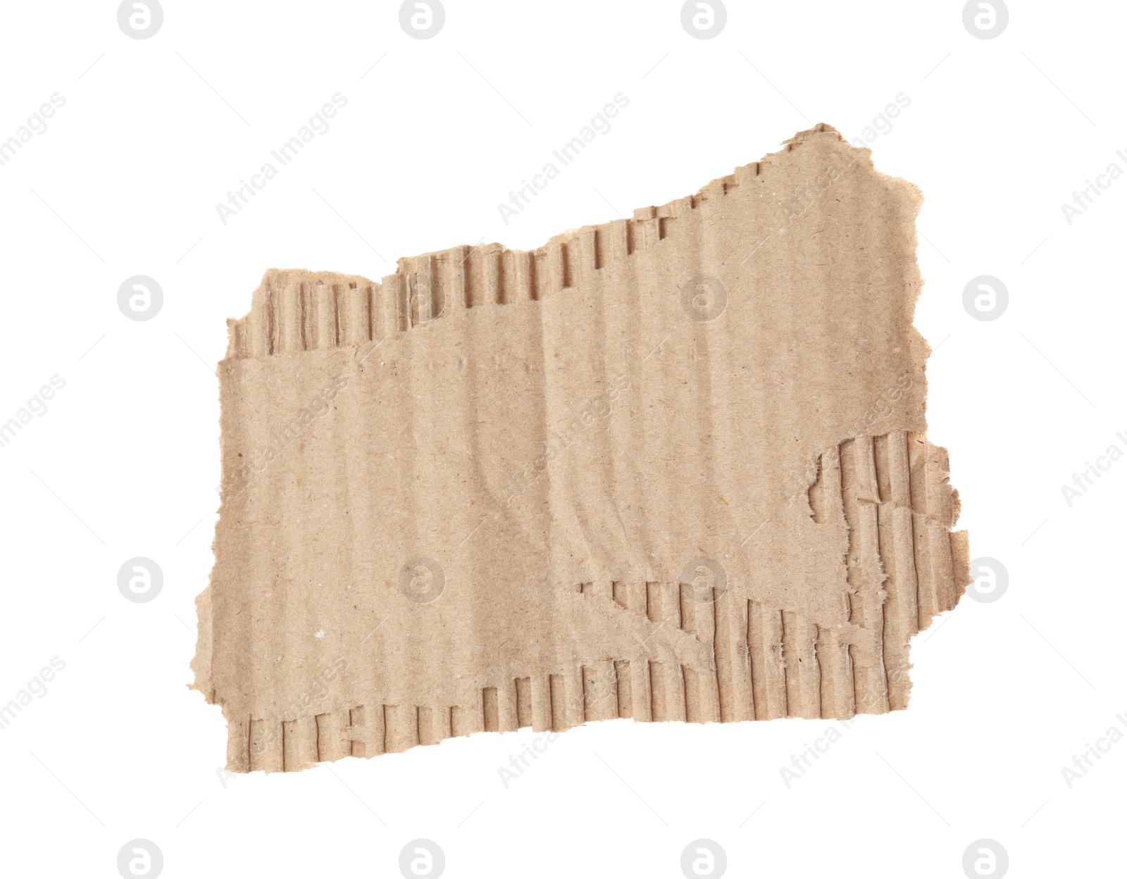 Photo of Piece of torn cardboard isolated on white