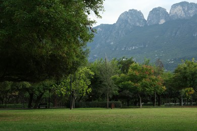 Photo of Picturesque view of beautiful park with green trees and grass in mountains