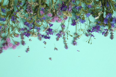 Different beautiful wild flowers on turquoise background, above view. Space for text