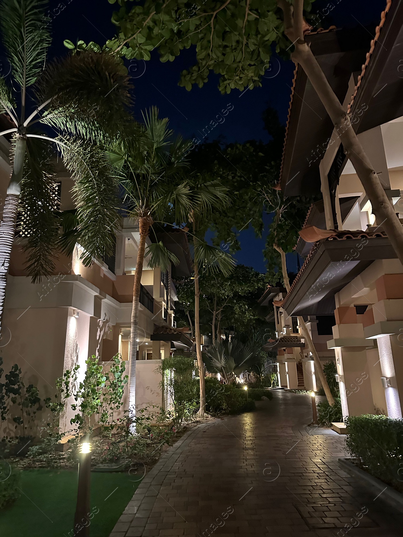 Photo of Beautiful view of pathway surrounded by buildings and trees in city at night