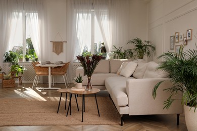 Photo of Stylish room interior with comfortable sofa and beautiful houseplants