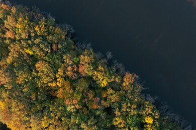 Image of Aerial view of beautiful autumn forest on riverbank
