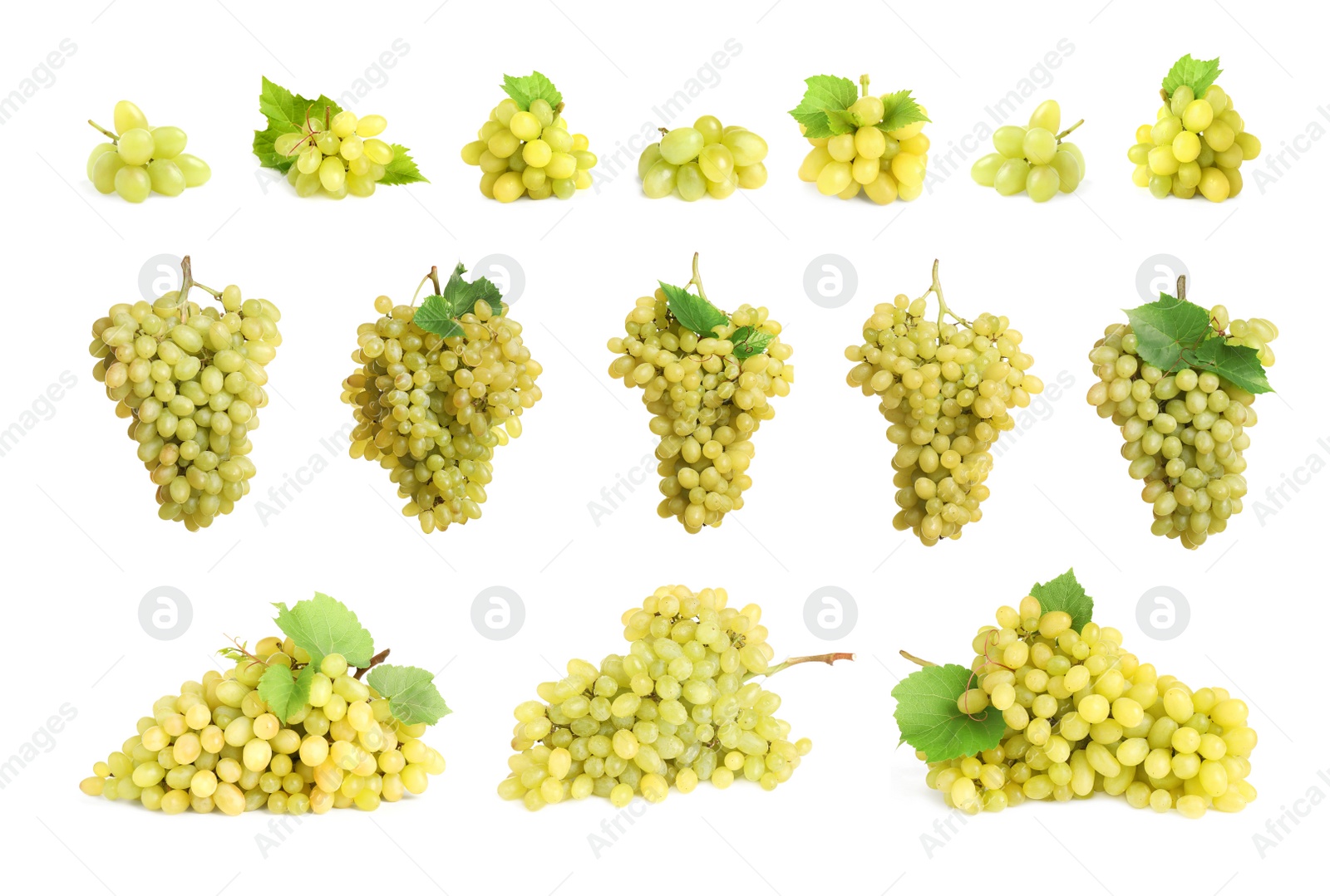 Image of Set with fresh ripe grapes on white background