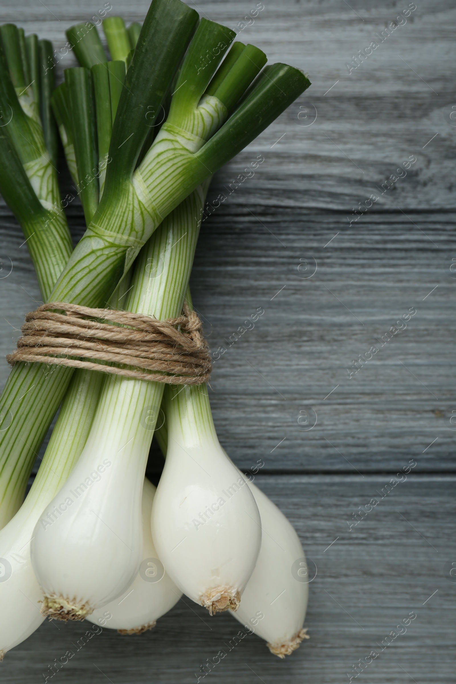 Photo of Bunch of green spring onions on grey wooden table, flat lay