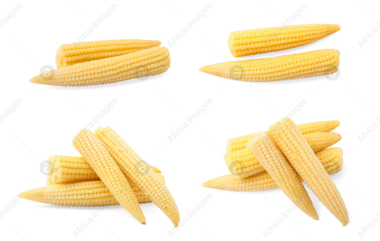 Image of Set with tasty pickled baby corn on white background