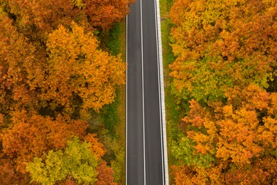 Aerial view of road going through beautiful autumn forest