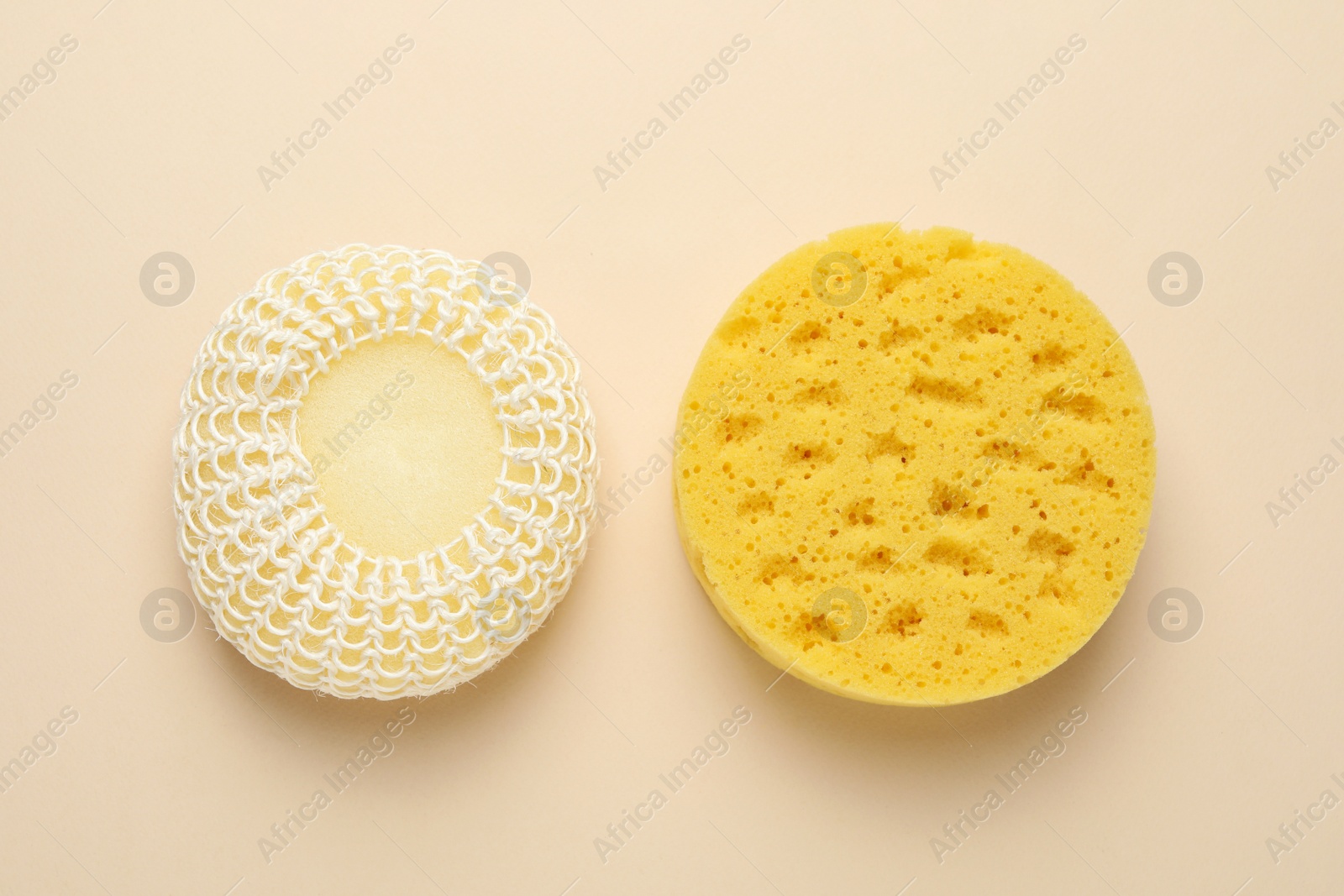 Photo of New sponges on beige background, flat lay