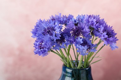 Photo of Bouquet of beautiful cornflowers in glass vase against pink background, closeup