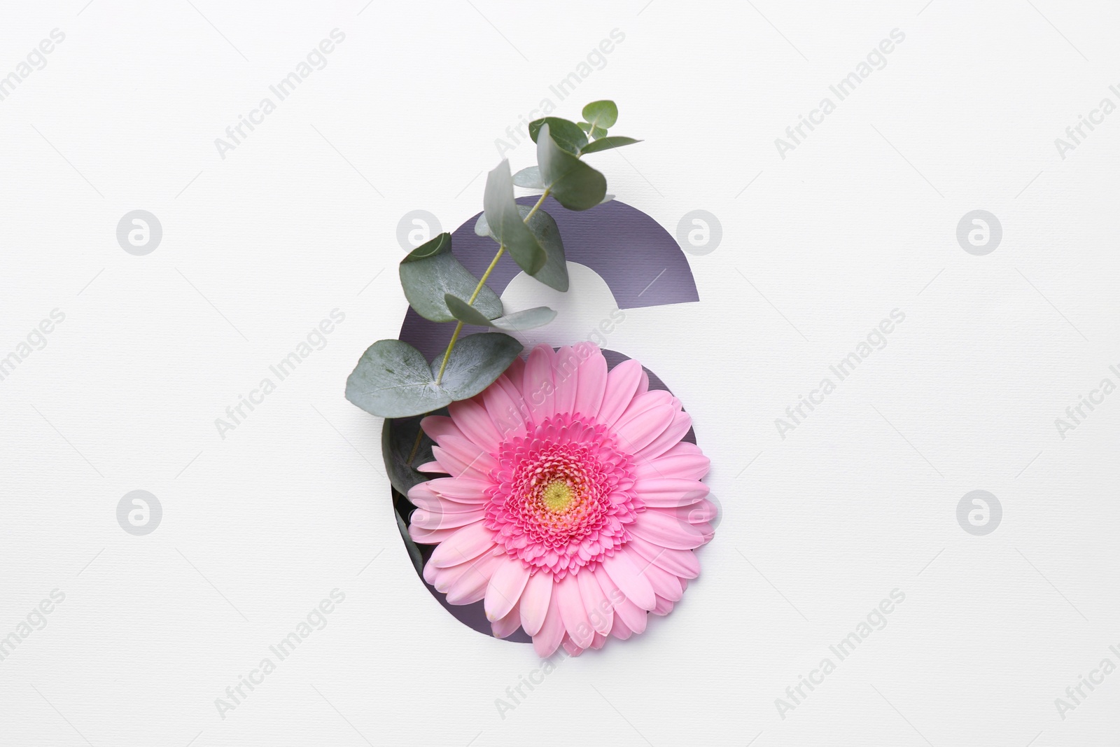 Photo of Number 6 shape hole in white paper with beautiful flower and eucalyptus branch, top view