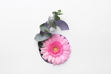 Photo of Number 6 shape hole in white paper with beautiful flower and eucalyptus branch, top view