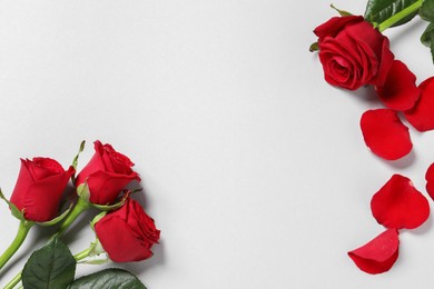 Photo of Beautiful red roses and petals on light background, flat lay. Space for text