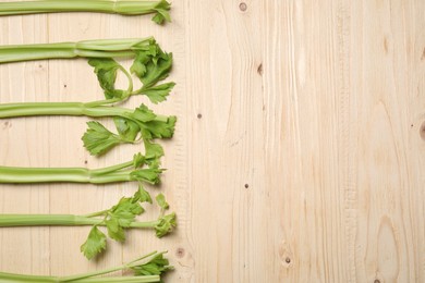 Fresh green celery on wooden table, flat lay. Space for text
