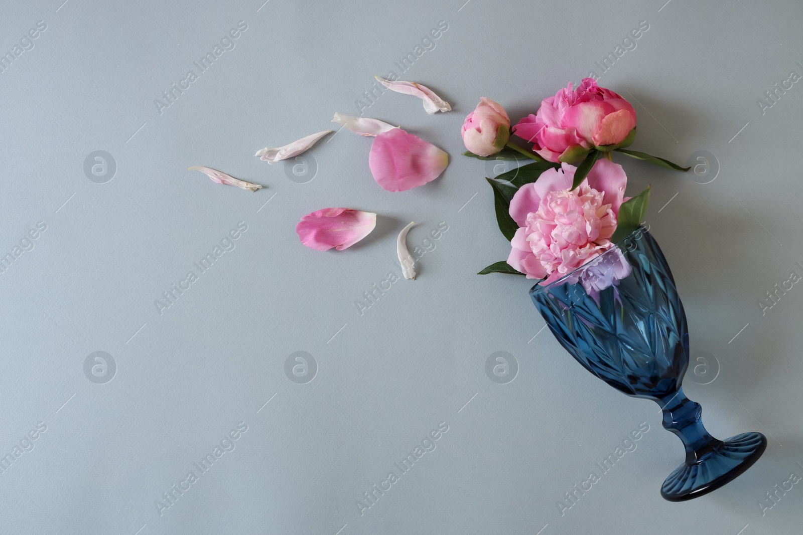 Photo of Flat lay composition with wineglass and beautiful pink peonies on grey background. Space for text