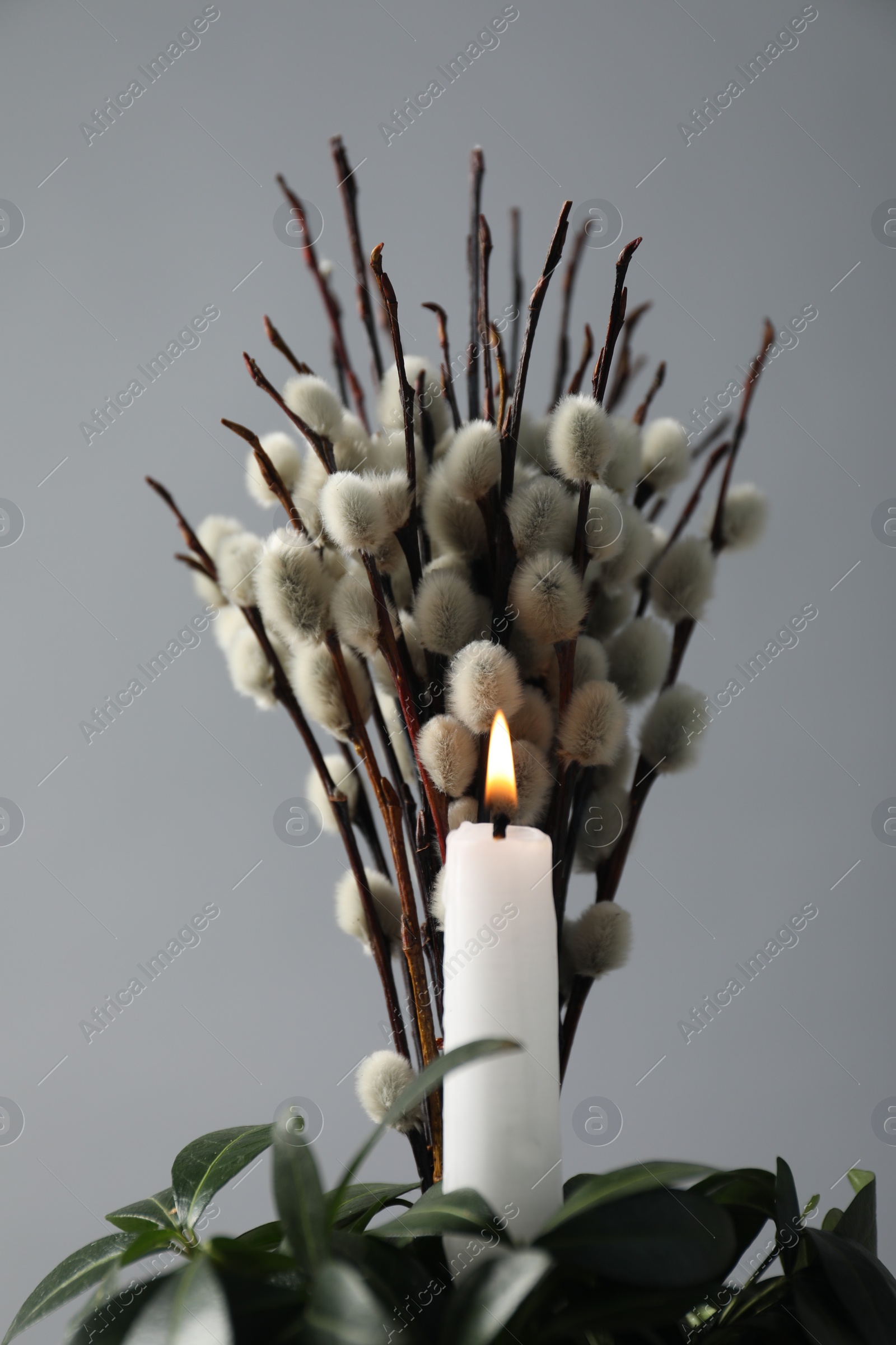 Photo of Burning candle, green leaves and willow branches against grey background