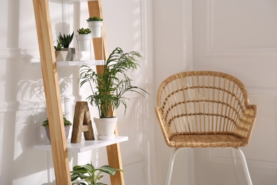 Photo of Elegant decorative ladder with houseplants and chair in light room