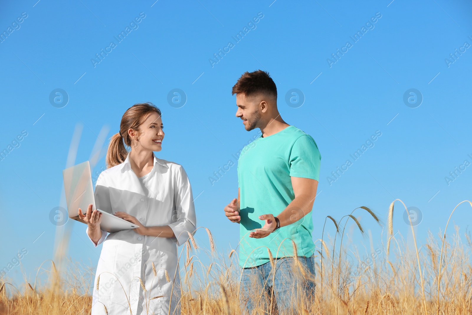 Photo of Agronomist with farmer in wheat field. Cereal grain crop