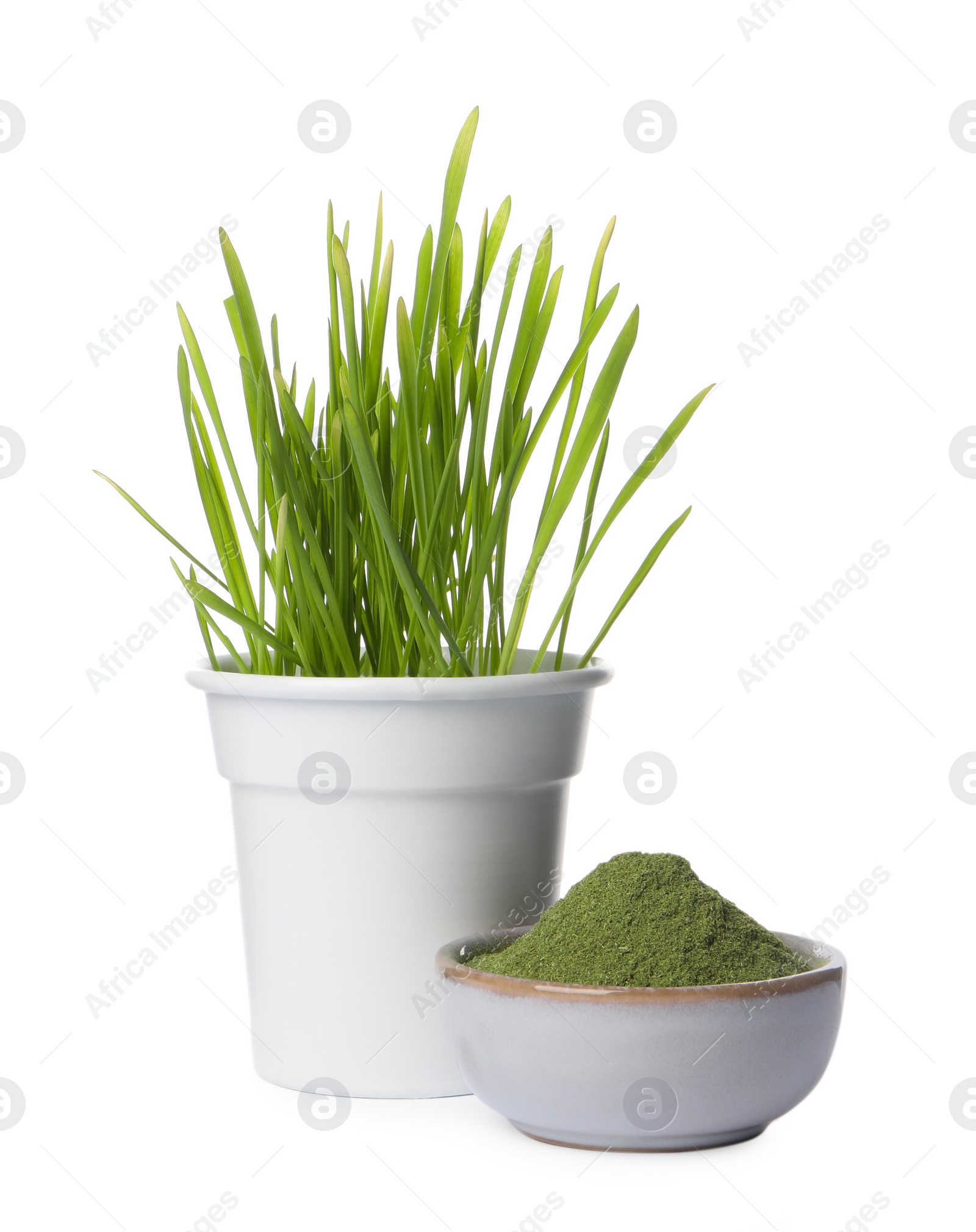 Photo of Fresh wheat grass in pot and bowl of green powder isolated on white
