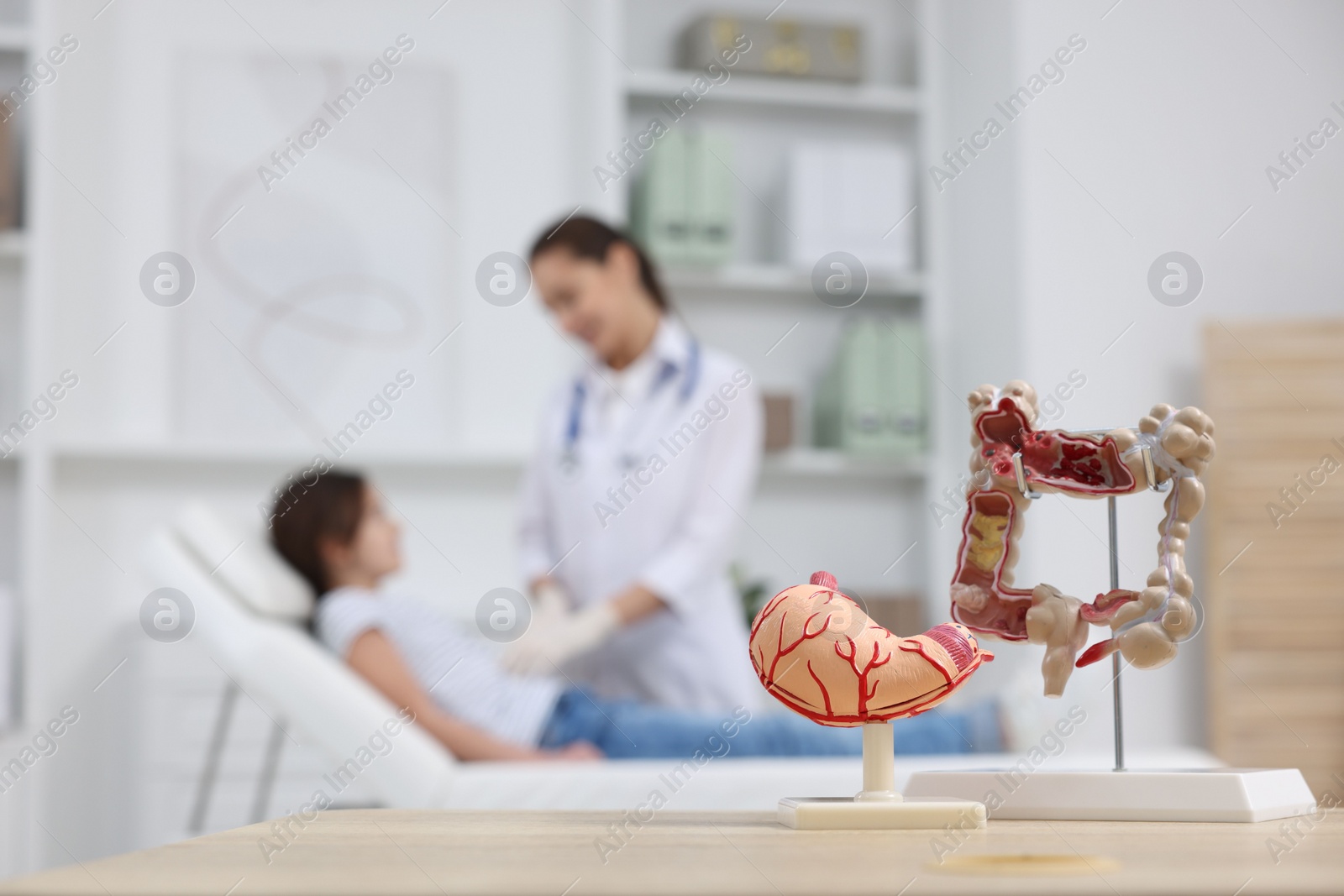 Photo of Gastroenterologist examining girl in clinic, focus on models of stomach and intestine on table