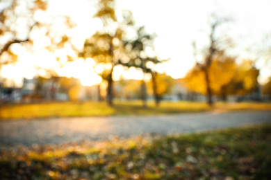 Photo of Blurred view of autumn landscape. Bokeh effect