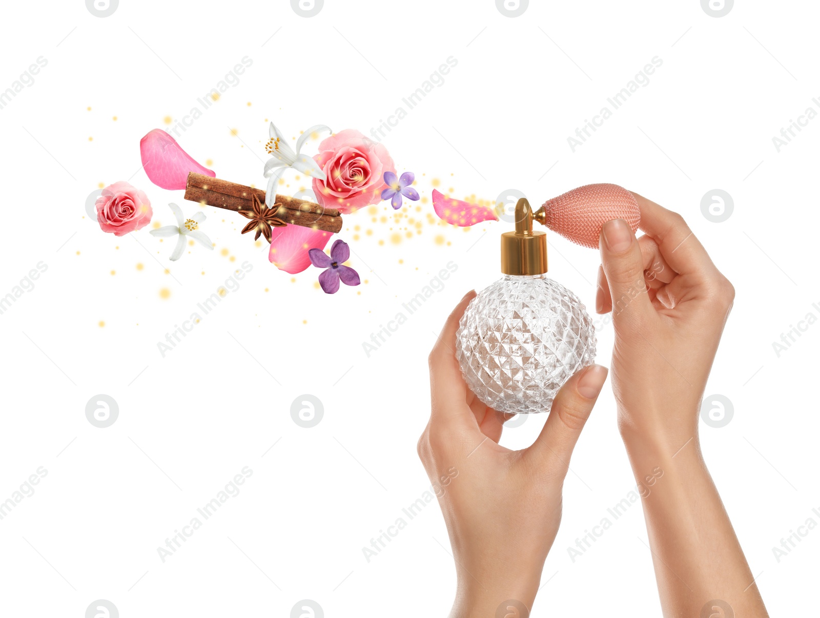 Image of Woman holding bottle of perfume with floral scent on white background, closeup