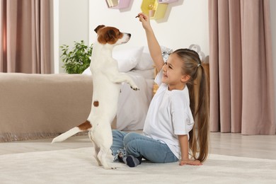 Cute girl training her playful dog on floor at home. Adorable pet