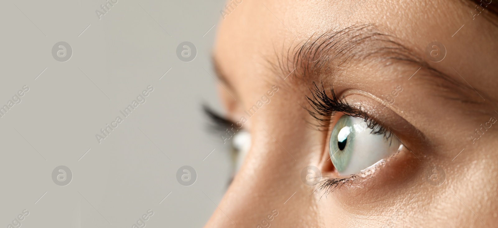 Image of Closeup view of woman with beautiful eyes on light grey background, space for text. Banner design