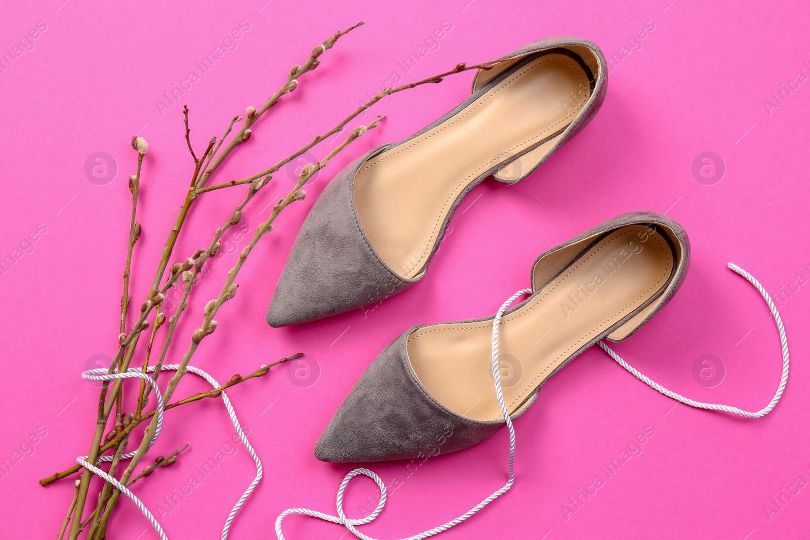 Photo of Elegant female shoes and pussy willow on color background