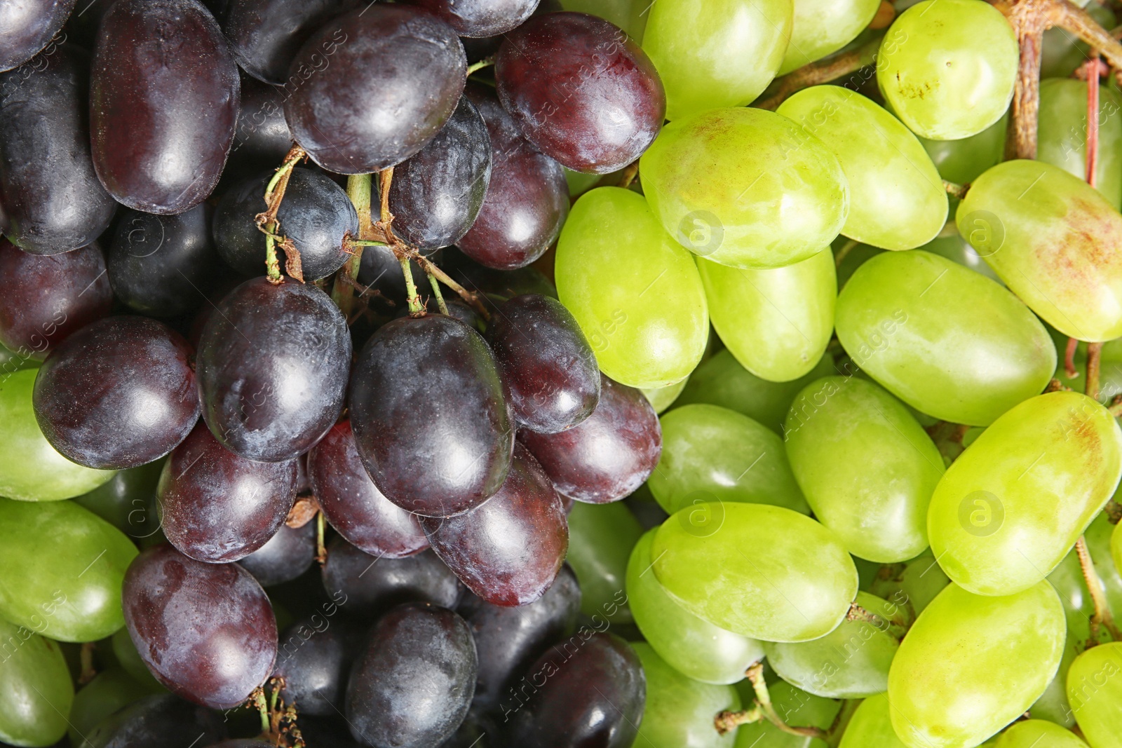 Photo of Fresh ripe juicy grapes as background, closeup