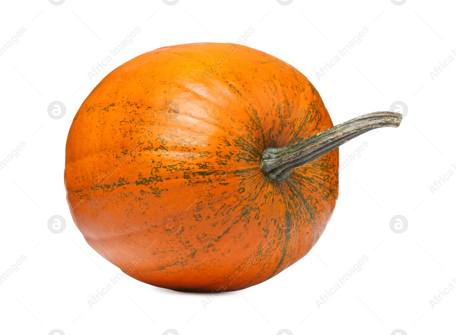 Photo of One fresh orange pumpkin isolated on white