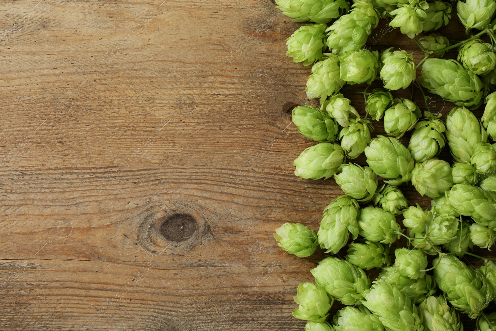 Photo of Fresh green hops on wooden table, top view. Space for text