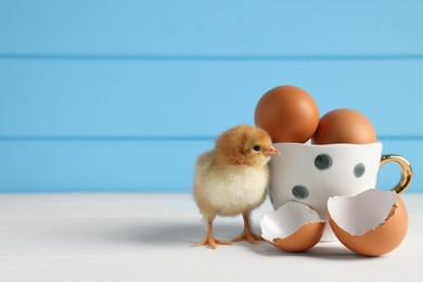 Photo of Cute chick near cup of eggs and shell pieces on white wooden table, closeup with space for text. Baby animal