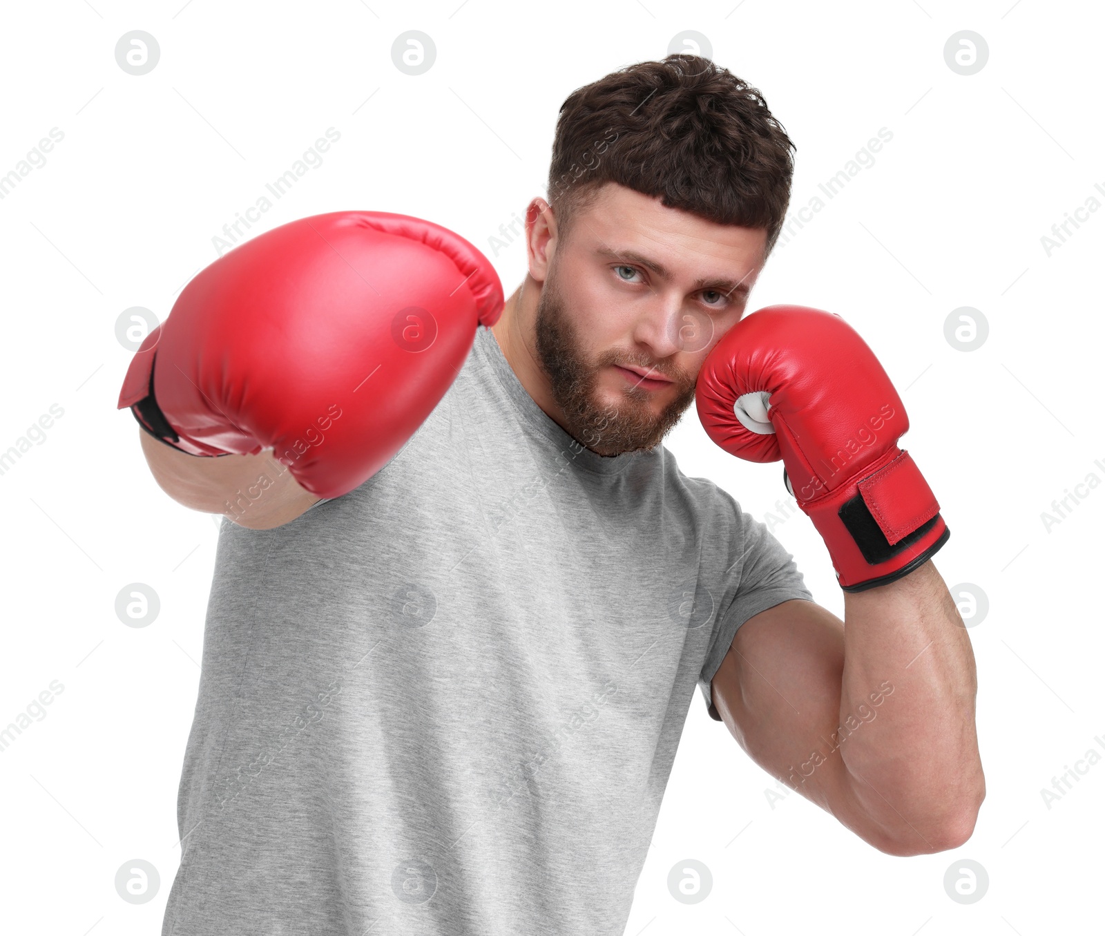 Photo of Man in boxing gloves fighting on white background