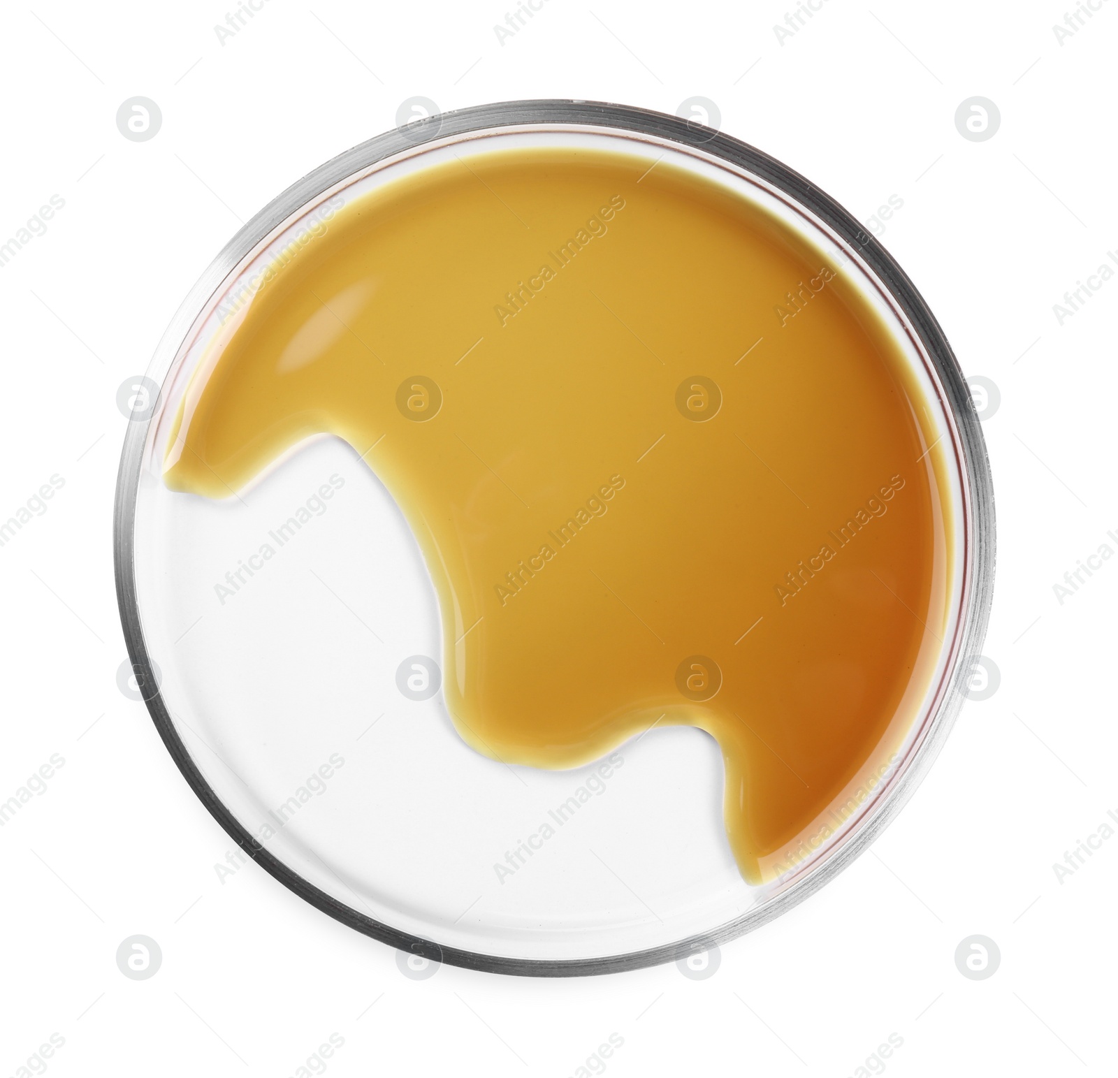 Photo of Petri dish with color liquid sample isolated on white, top view