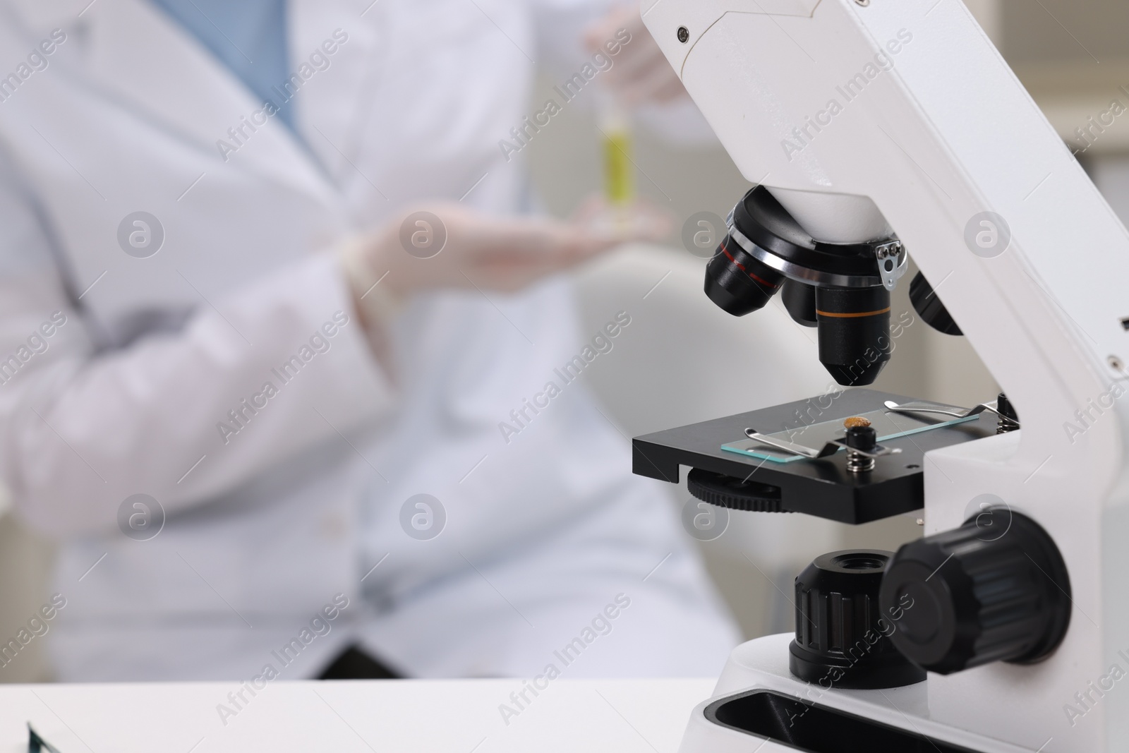 Photo of Quality control. Food inspector working in laboratory, focus on microscope