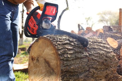 Man sawing wooden log on sunny day, closeup