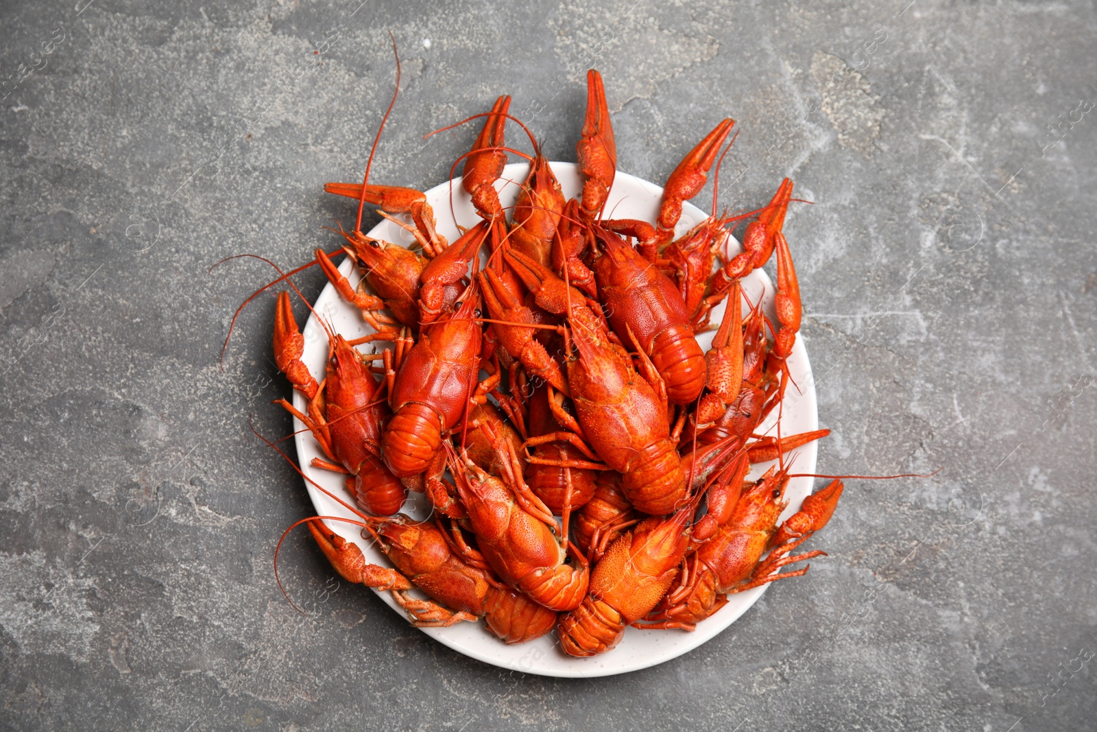 Photo of Delicious red boiled crayfishes on grey table, top view